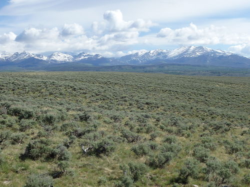 GDMBR: Our view to the NW. Some of the parallel tracks of the west bound wagon trains are visible.